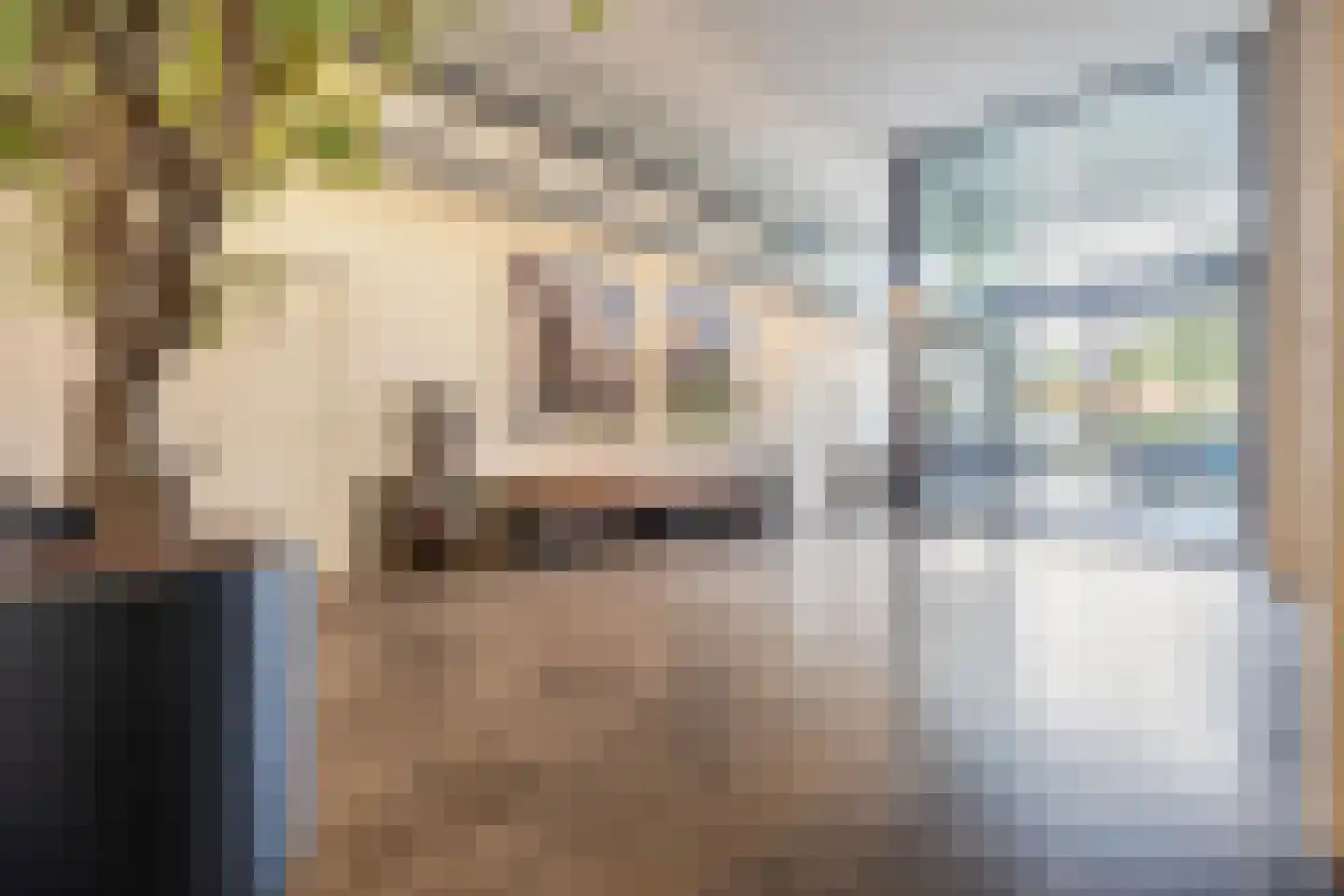 Dirk Hartogstraat 295 Breda thumbnail 9