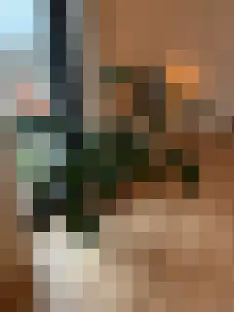 Dirk Hartogstraat 387 Breda thumbnail 5