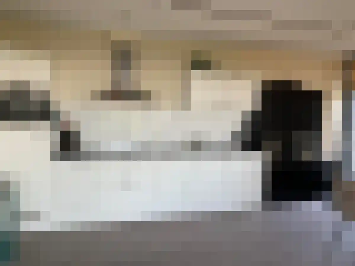 Dirk Hartogstraat 429 Breda thumbnail 5