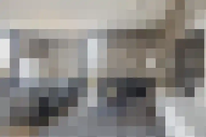 Dirk Hartogstraat 49 Breda thumbnail 8