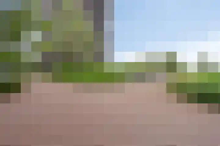 Dirk Hartogstraat 61 Breda thumbnail 31