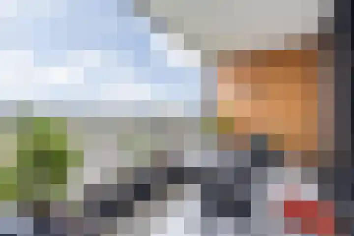 Dirk Hartogstraat 63 Breda thumbnail 33