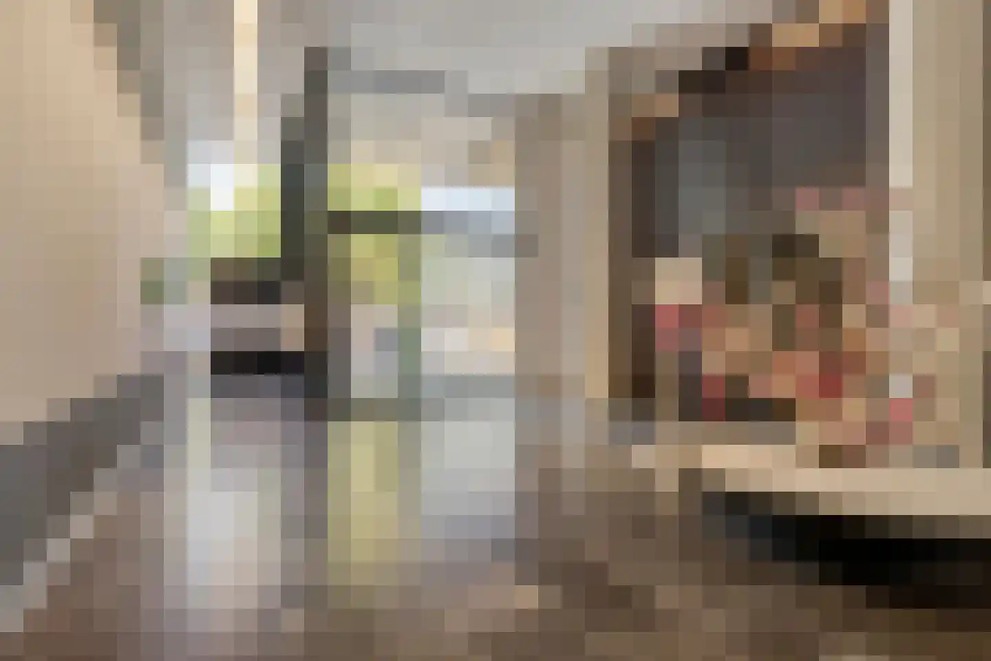 Dirk Hartogstraat 79 Breda thumbnail 10