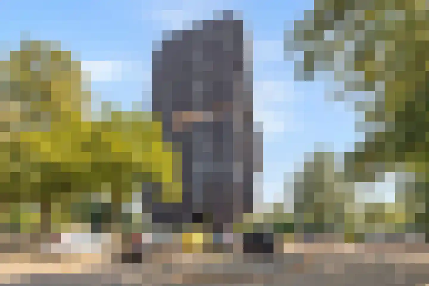 Dirk Hartogstraat 79 Breda thumbnail 30
