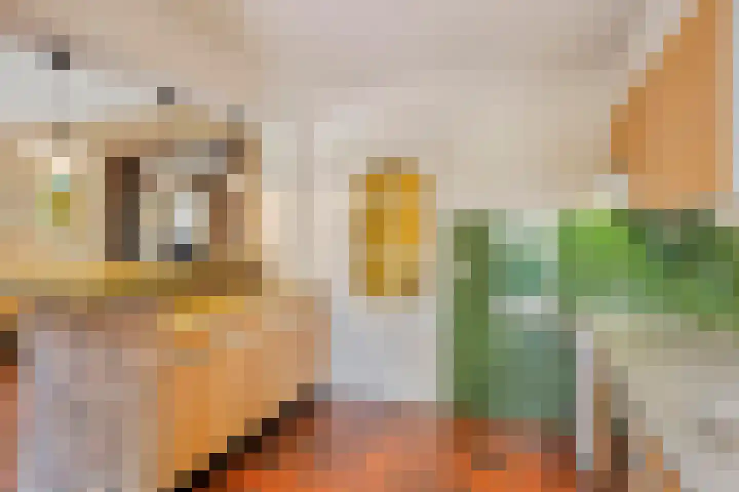 Dirk Heziuslaan 26 Heeze thumbnail 14