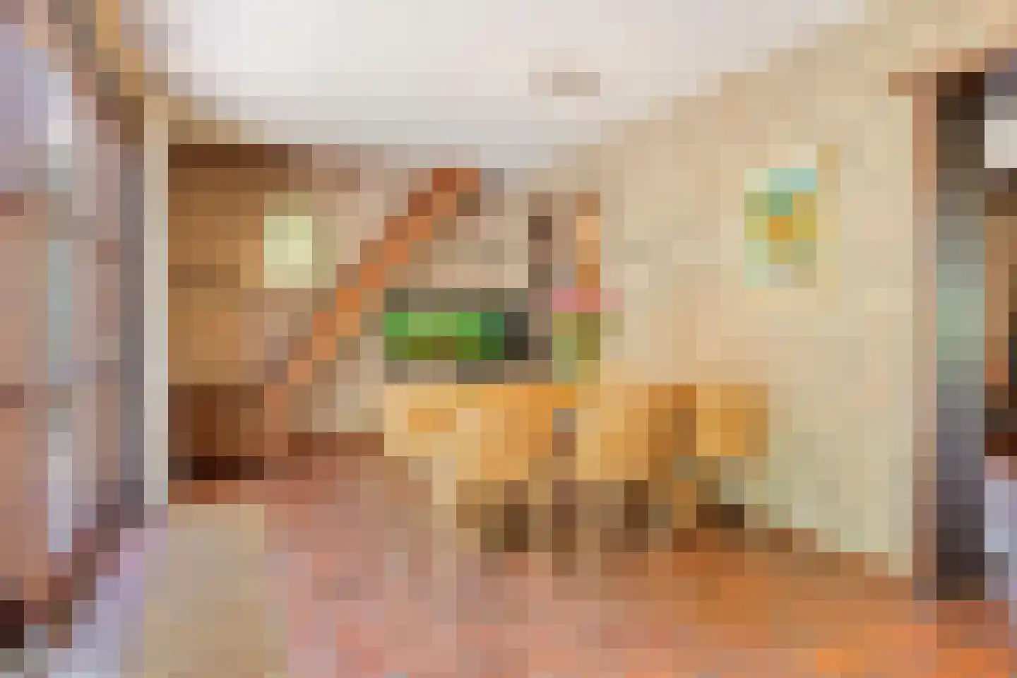 Dirk Heziuslaan 26 Heeze thumbnail 8