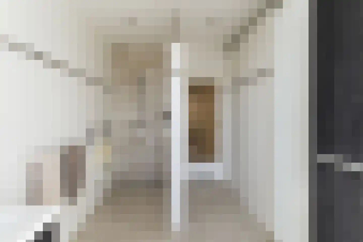 Dirk Hoogenraadstraat 101 Den Haag thumbnail 31