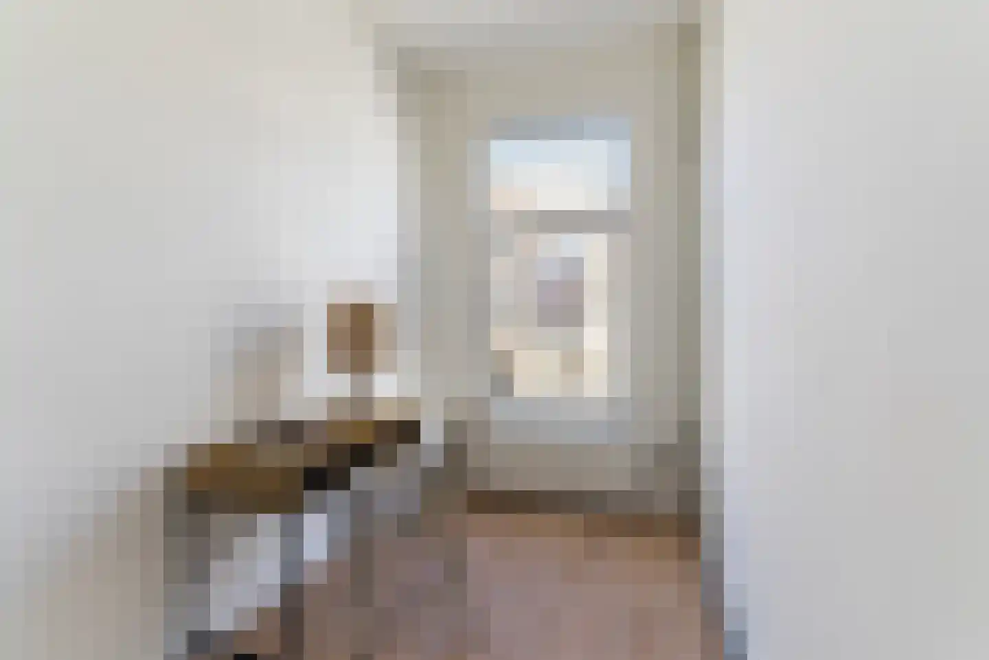 Dirk Hoogenraadstraat 101 Den Haag thumbnail 33