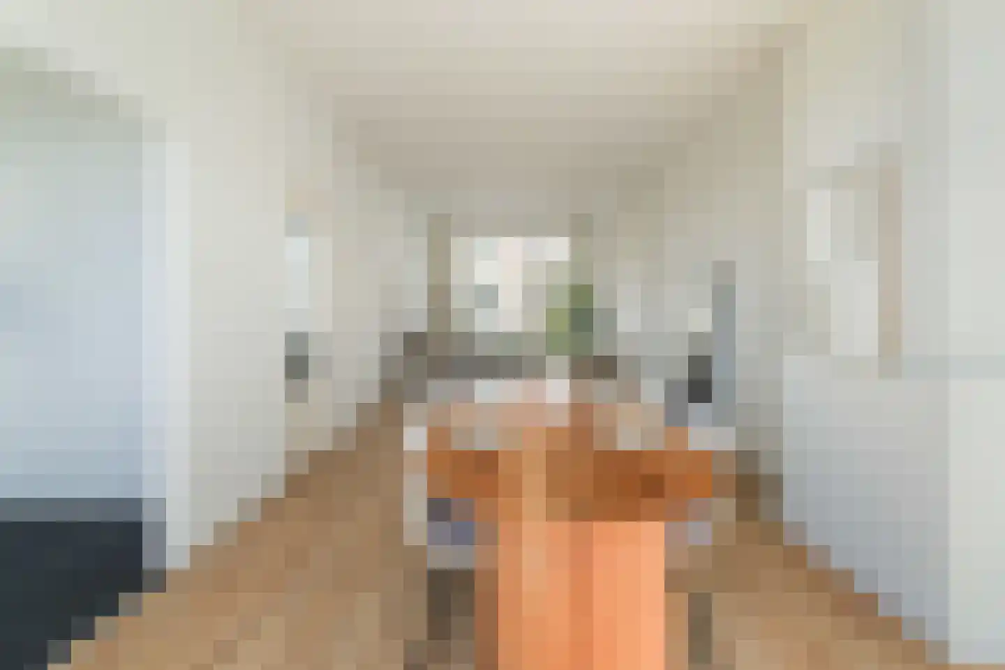 Dirk Hoogenraadstraat 101 Den Haag thumbnail 5