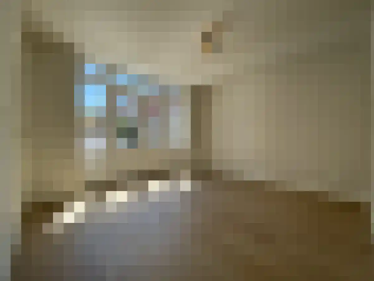 Dirk Hoogenraadstraat 110 Den Haag thumbnail 6