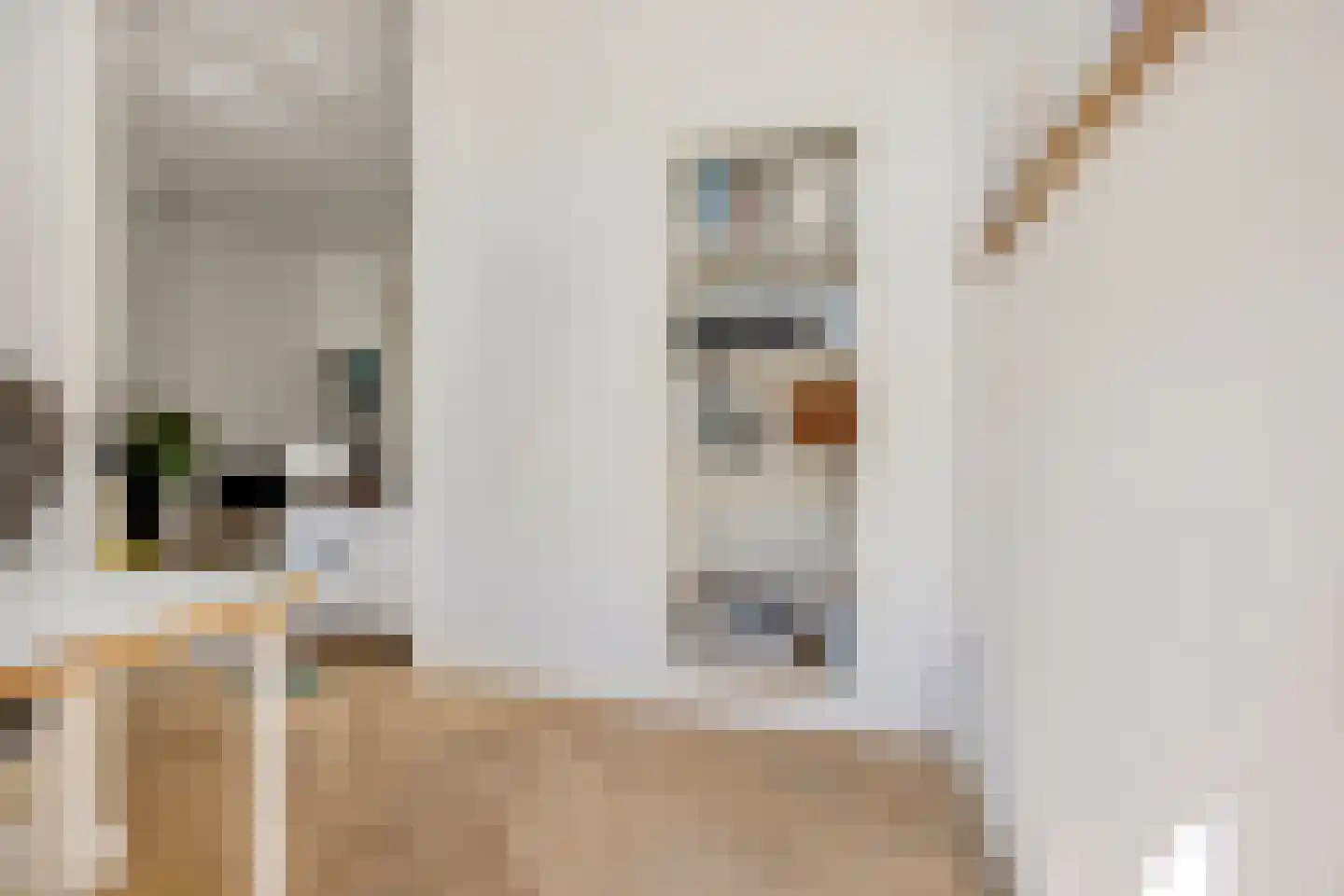 Dirk Hoogenraadstraat 158 Den Haag thumbnail 12