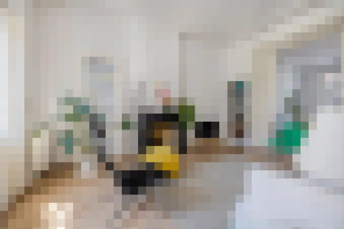 Dirk Hoogenraadstraat 158 Den Haag thumbnail 17