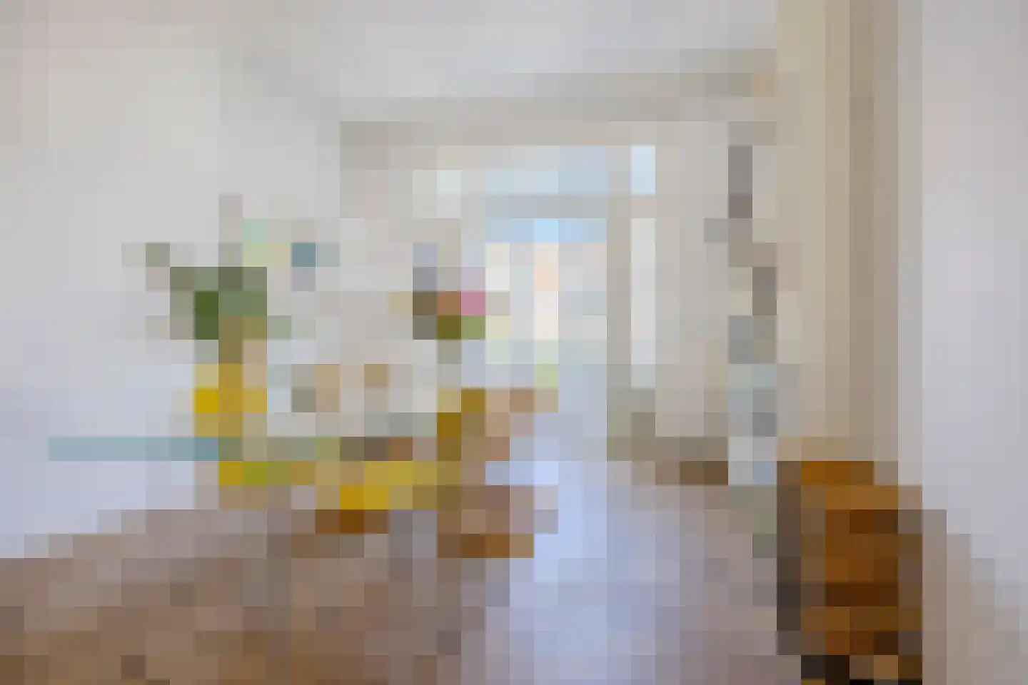 Dirk Hoogenraadstraat 158 Den Haag thumbnail 25