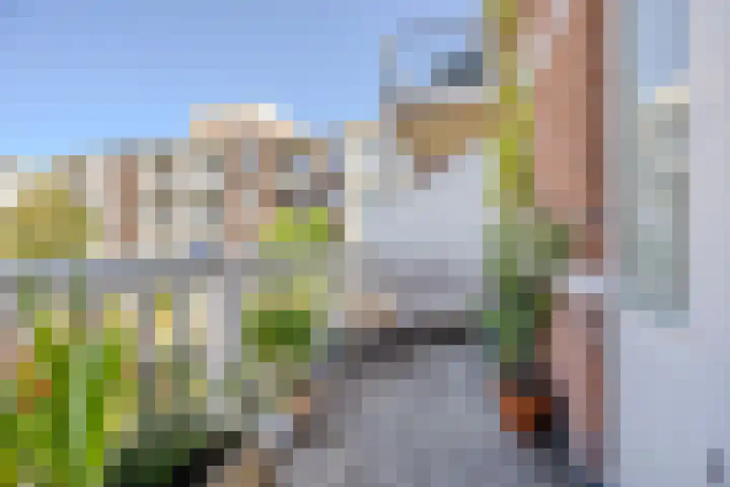 Dirk Hoogenraadstraat 158 Den Haag thumbnail 27