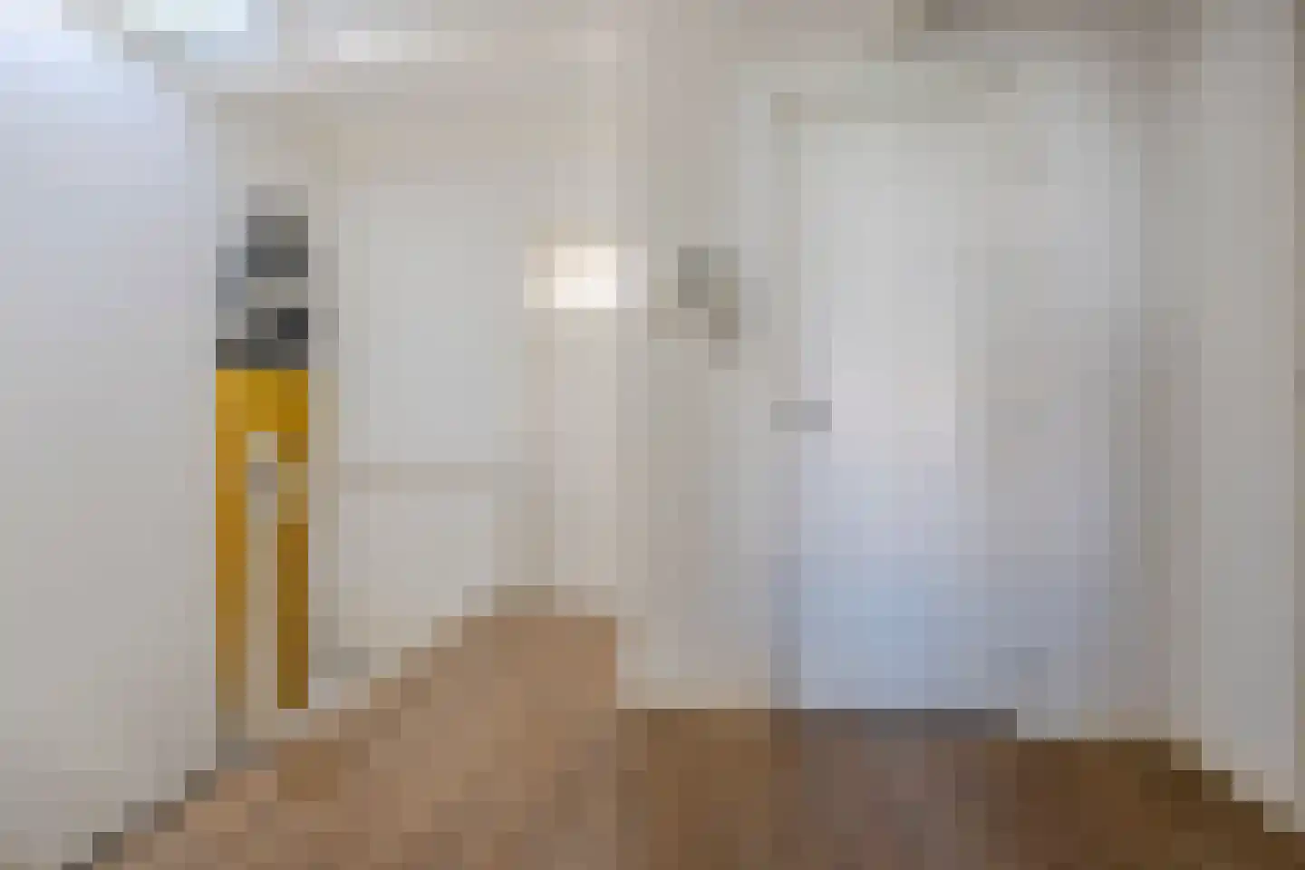 Dirk Hoogenraadstraat 158 Den Haag thumbnail 33