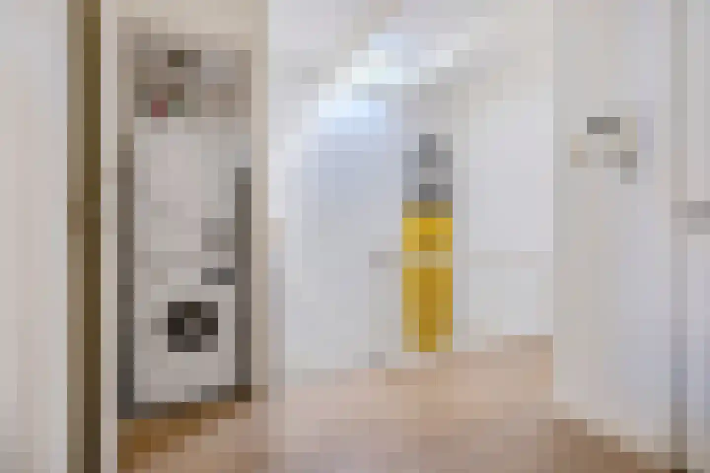 Dirk Hoogenraadstraat 158 Den Haag thumbnail 34