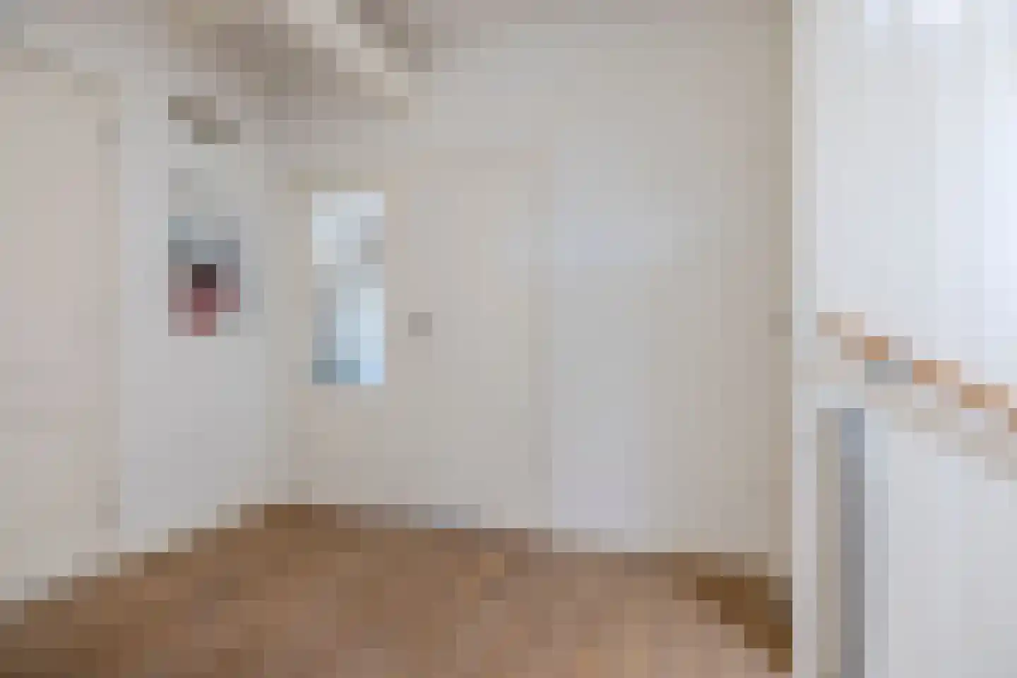 Dirk Hoogenraadstraat 158 Den Haag thumbnail 35