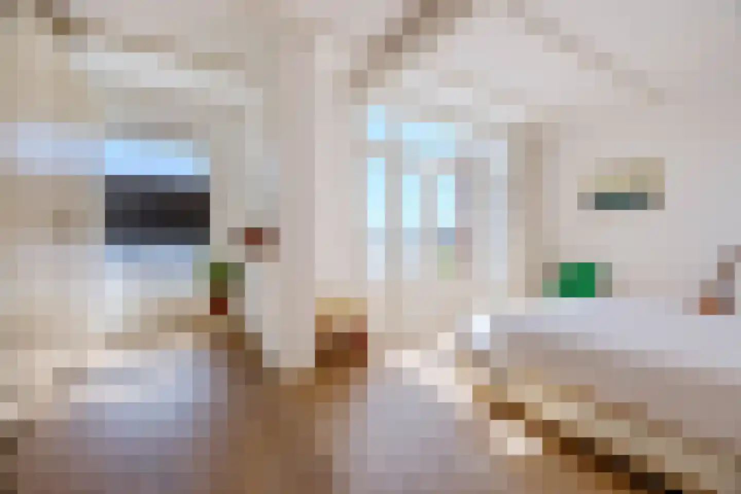 Dirk Hoogenraadstraat 158 Den Haag thumbnail 36