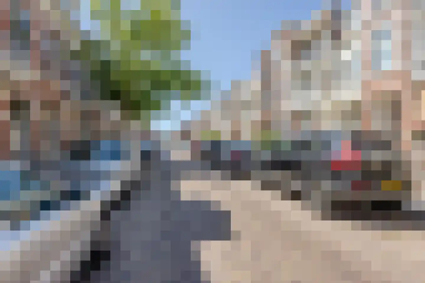 Dirk Hoogenraadstraat 158 Den Haag thumbnail 50