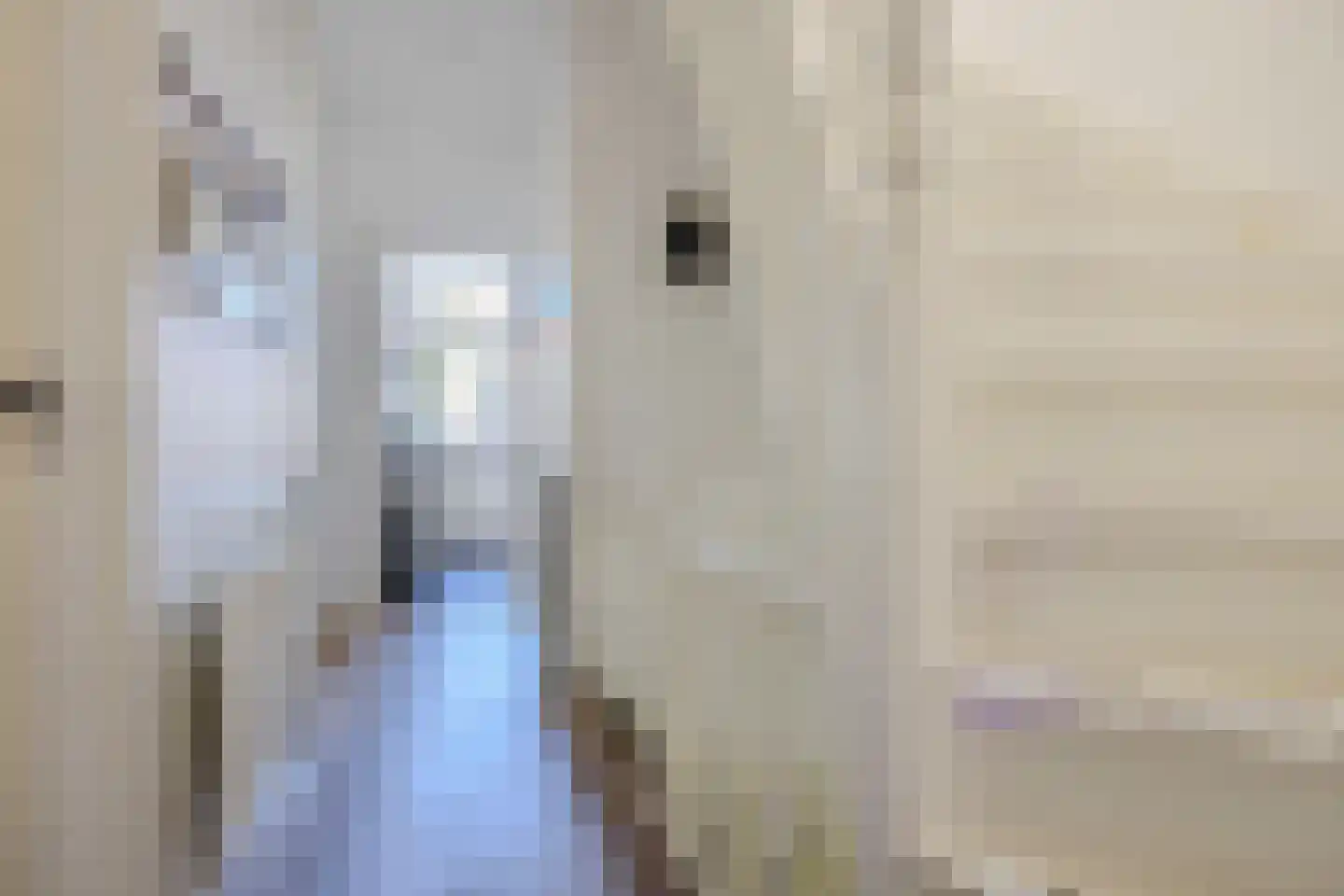 Dirk Hoogenraadstraat 158 Den Haag thumbnail 8