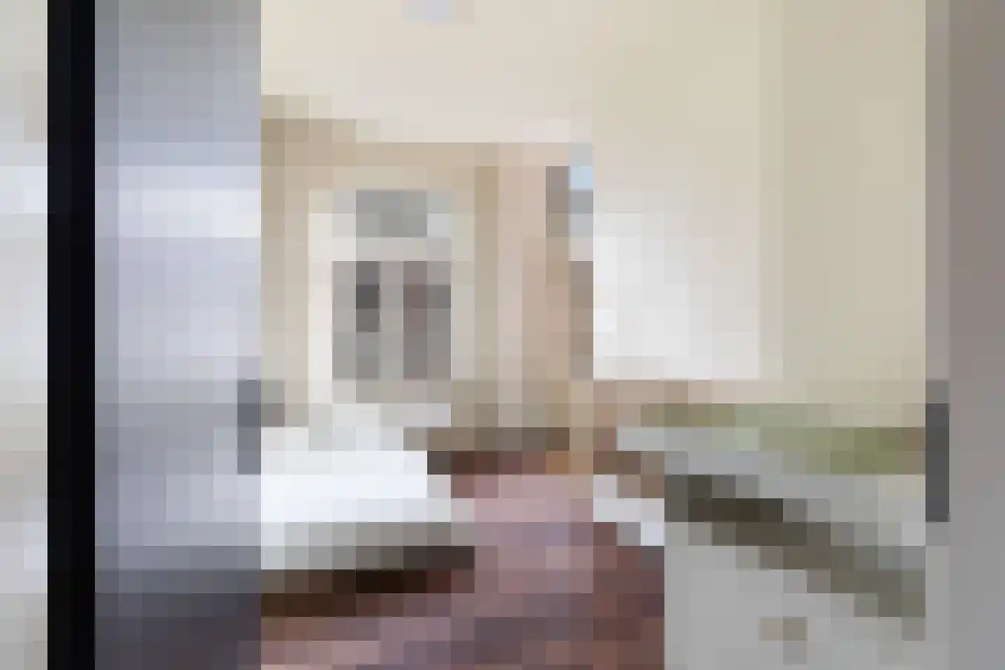 Dirk Hoogenraadstraat 168 B Den Haag thumbnail 22