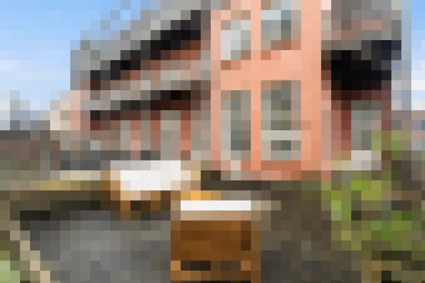 Dirk Hoogenraadstraat 168 B Den Haag thumbnail 32