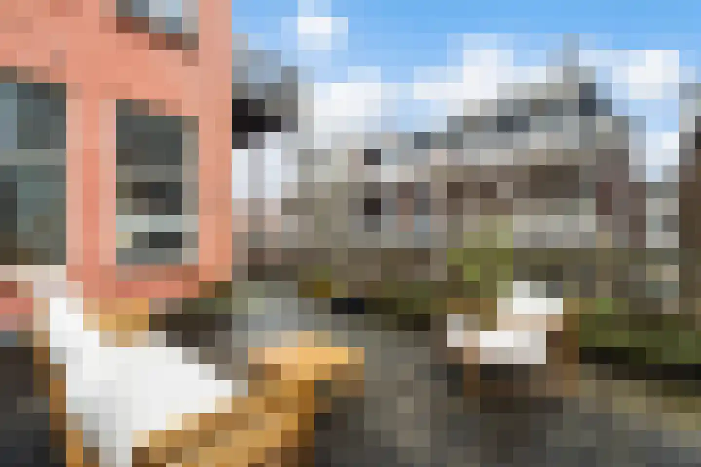 Dirk Hoogenraadstraat 168 B Den Haag thumbnail 33