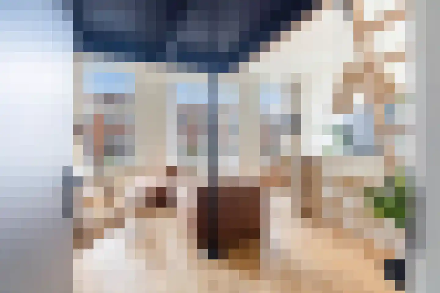 Dirk Hoogenraadstraat 168 B Den Haag thumbnail 7