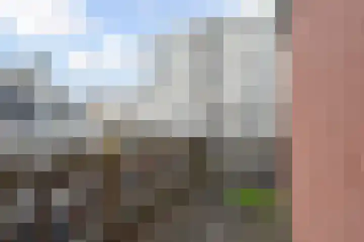 Dirk Hoogenraadstraat 168 G Den Haag thumbnail 16