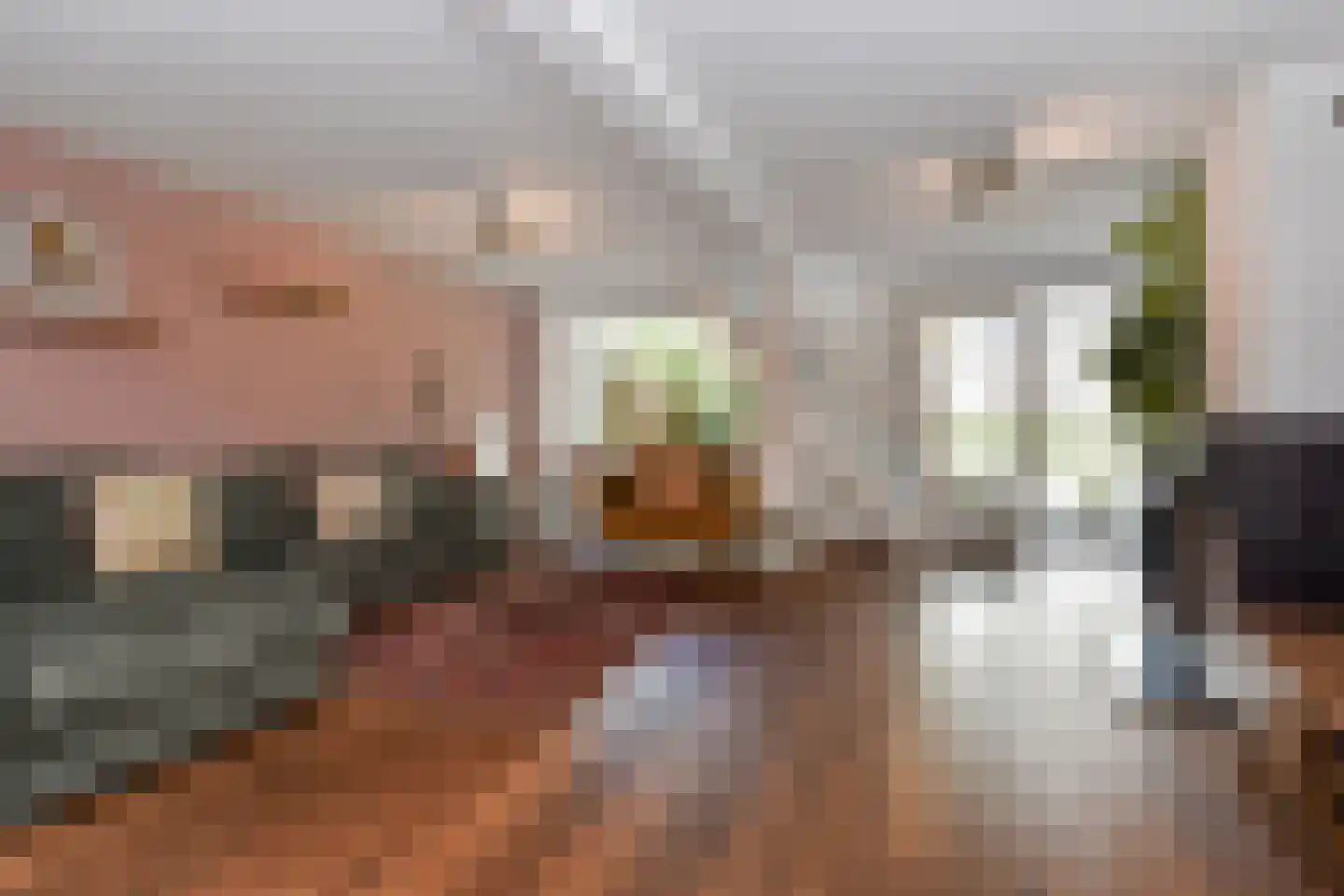 Dirk Hoogenraadstraat 2 C Den Haag thumbnail 15