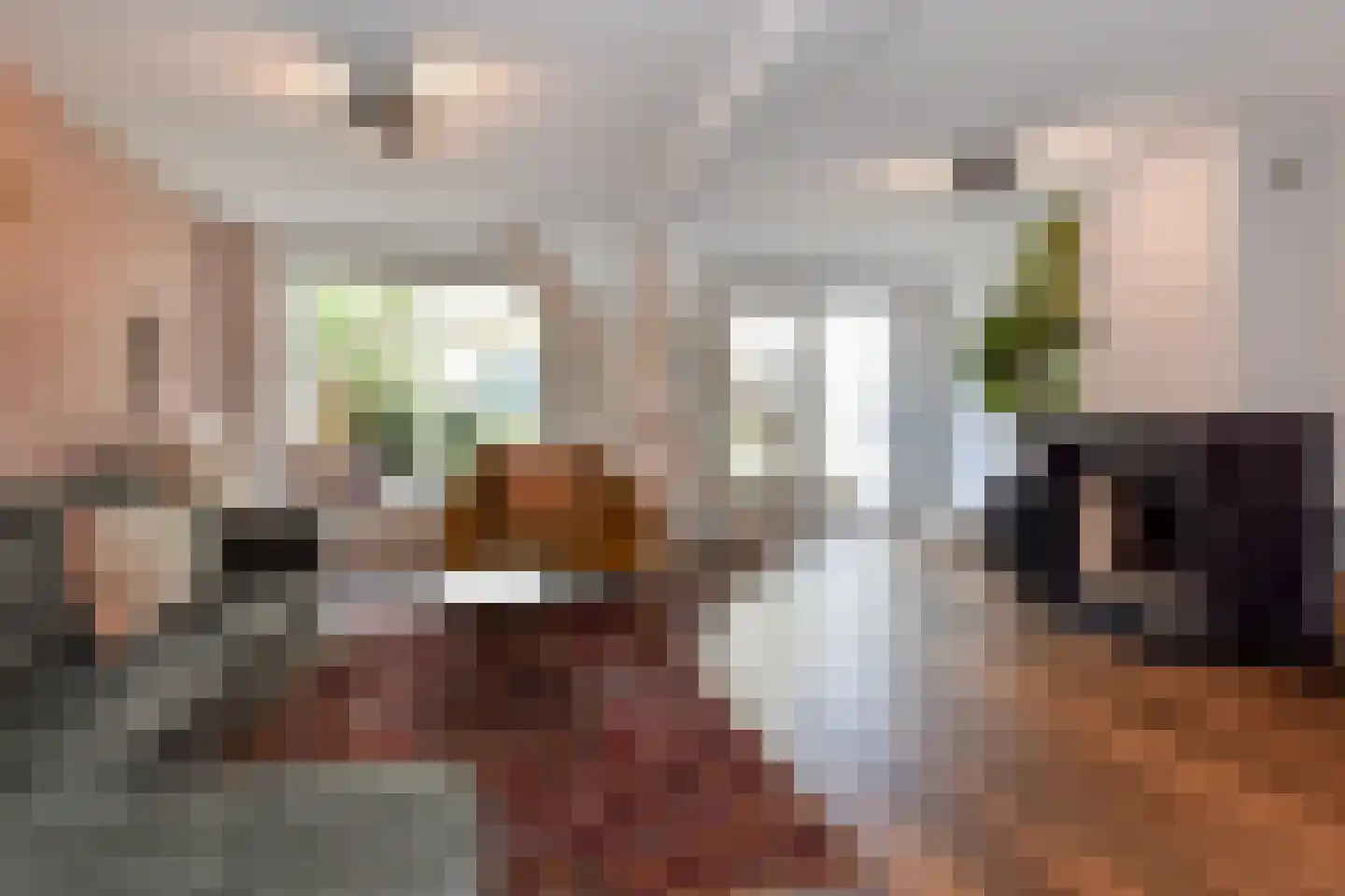 Dirk Hoogenraadstraat 2 C Den Haag thumbnail 16