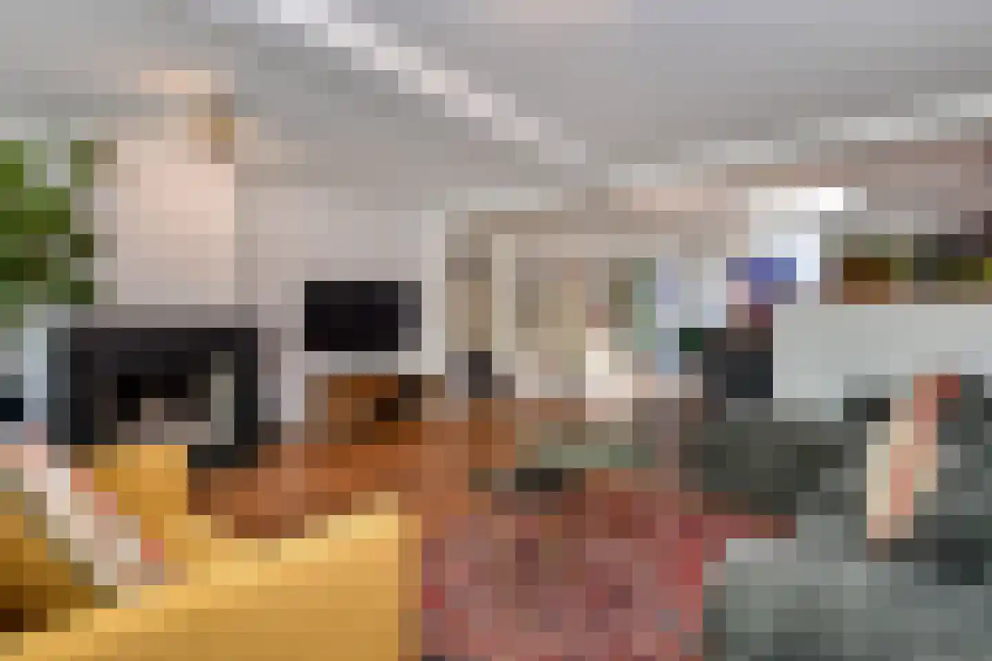 Dirk Hoogenraadstraat 2 C Den Haag thumbnail 17