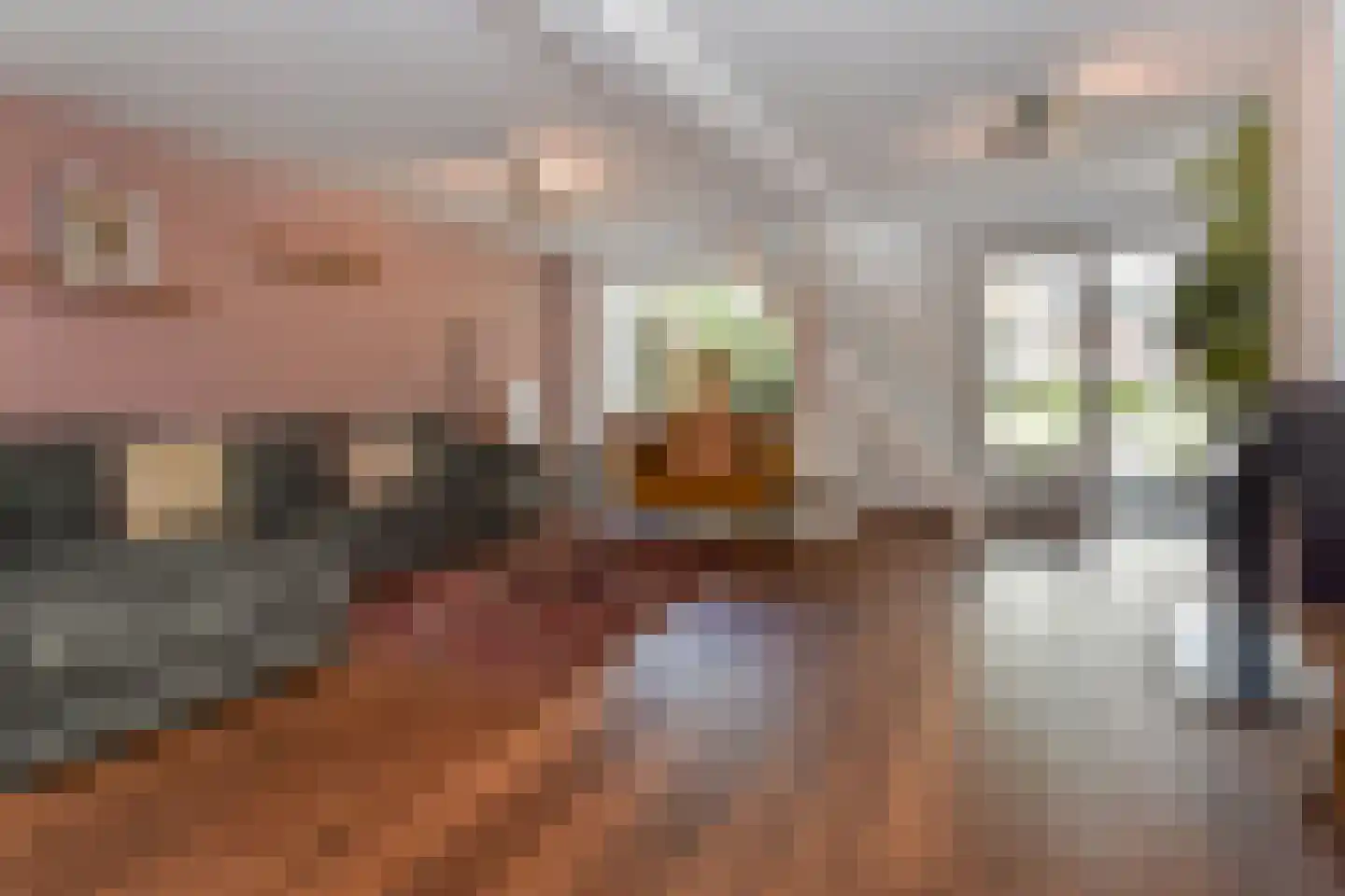 Dirk Hoogenraadstraat 2 C Den Haag thumbnail 18
