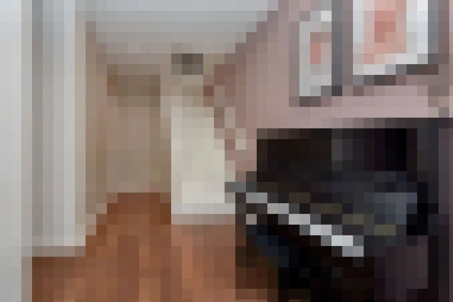 Dirk Hoogenraadstraat 2 C Den Haag thumbnail 21