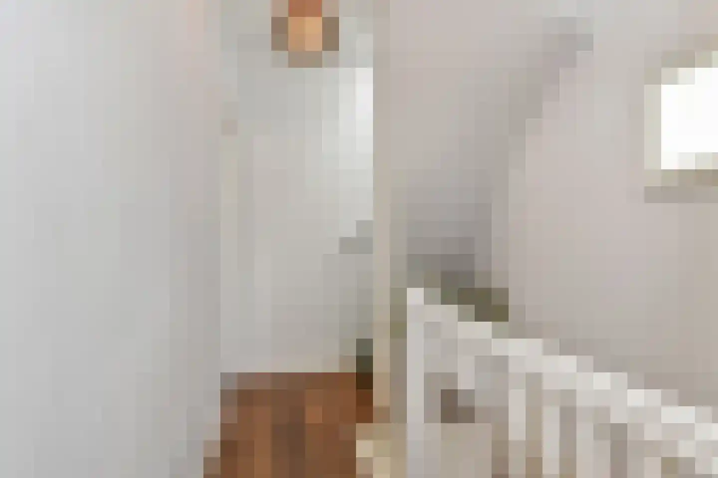 Dirk Hoogenraadstraat 2 C Den Haag thumbnail 22