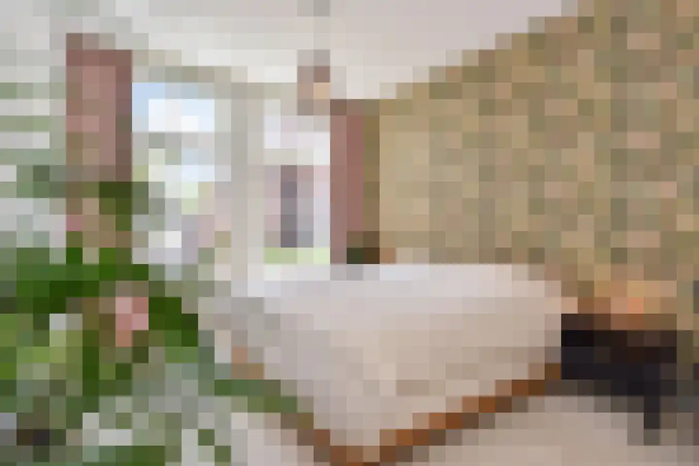 Dirk Hoogenraadstraat 2 C Den Haag thumbnail 23