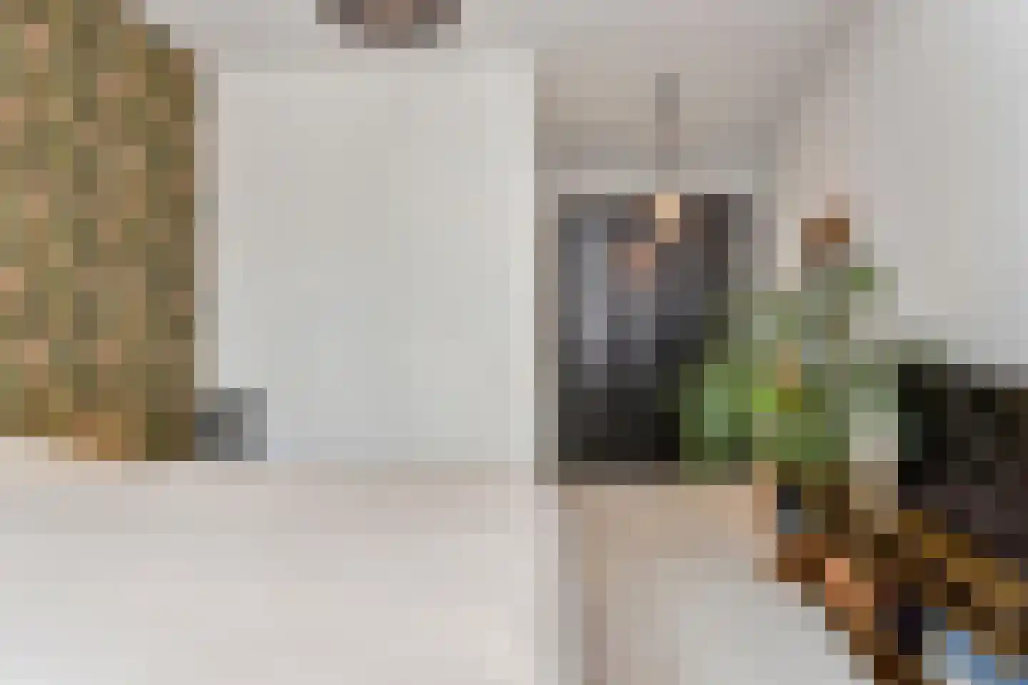 Dirk Hoogenraadstraat 2 C Den Haag thumbnail 24