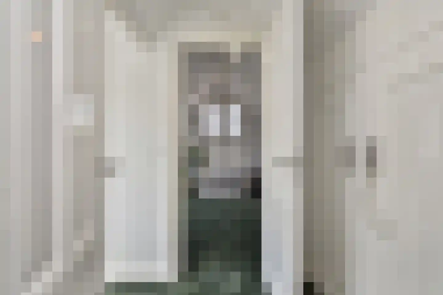 Dirk Hoogenraadstraat 2 C Den Haag thumbnail 30