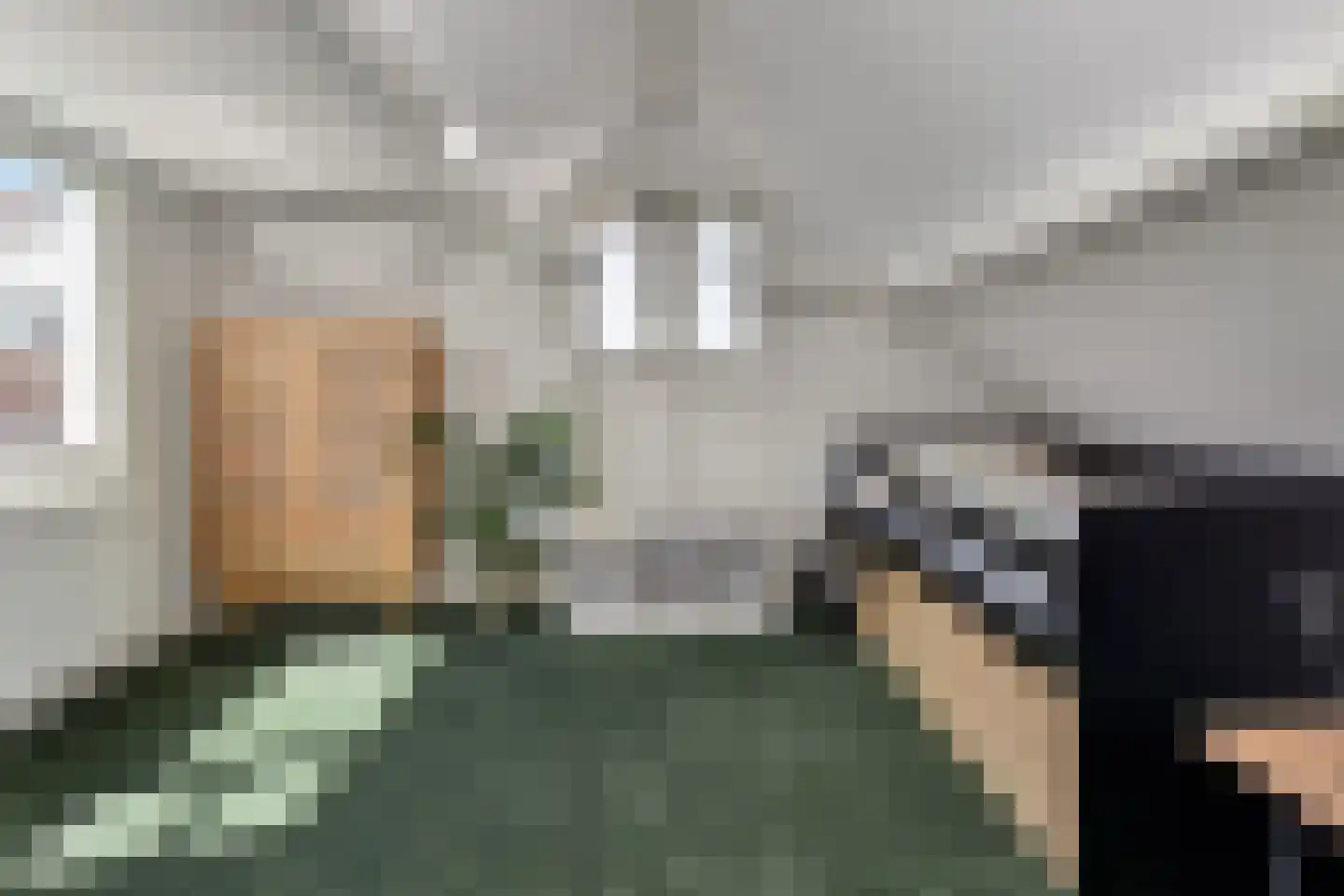 Dirk Hoogenraadstraat 2 C Den Haag thumbnail 31