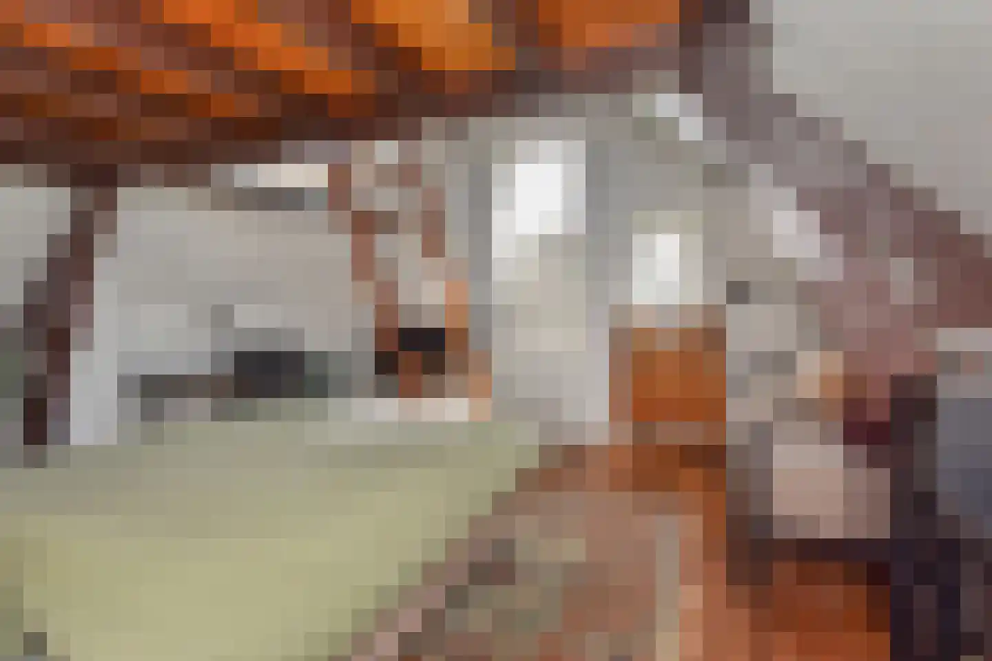 Dirk Hoogenraadstraat 2 C Den Haag thumbnail 35