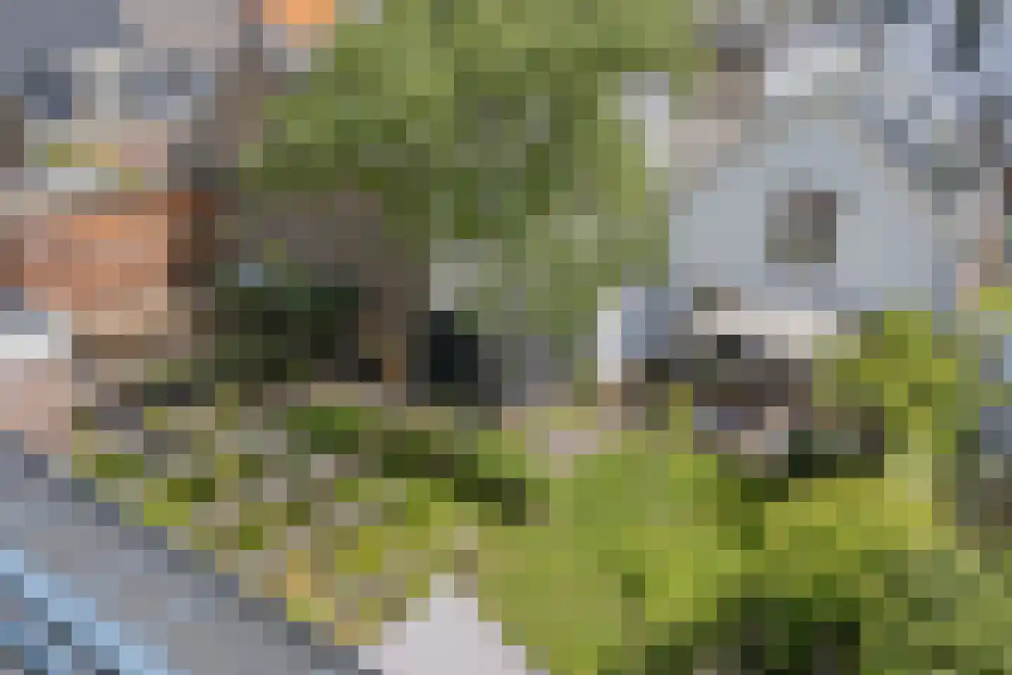 Dirk Hoogenraadstraat 2 C Den Haag thumbnail 4