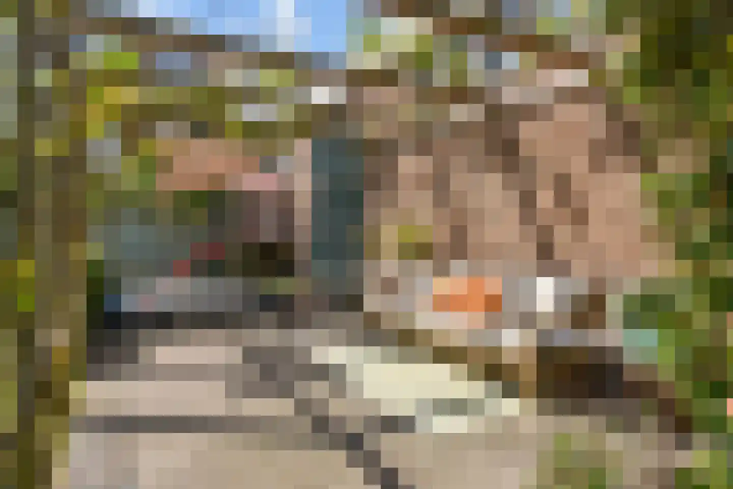 Dirk Hoogenraadstraat 2 C Den Haag thumbnail 41