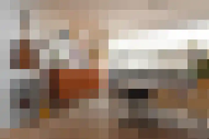 Dirk Hoogenraadstraat 20 B Den Haag thumbnail 12