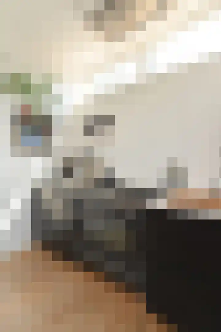 Dirk Hoogenraadstraat 20 B Den Haag thumbnail 19