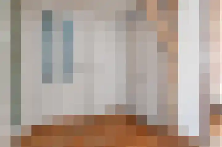 Dirk Hoogenraadstraat 20 B Den Haag thumbnail 32