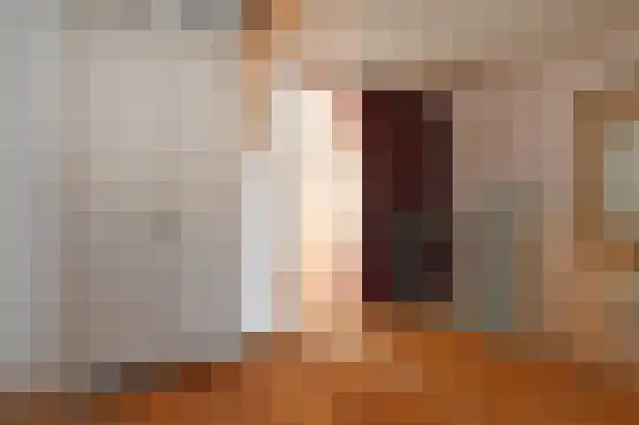 Dirk Hoogenraadstraat 20 B Den Haag thumbnail 36