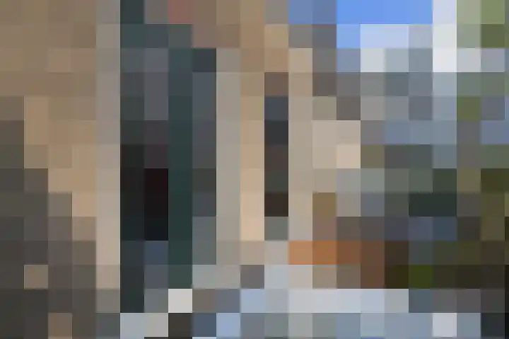 Dirk Hoogenraadstraat 20 B Den Haag thumbnail 40