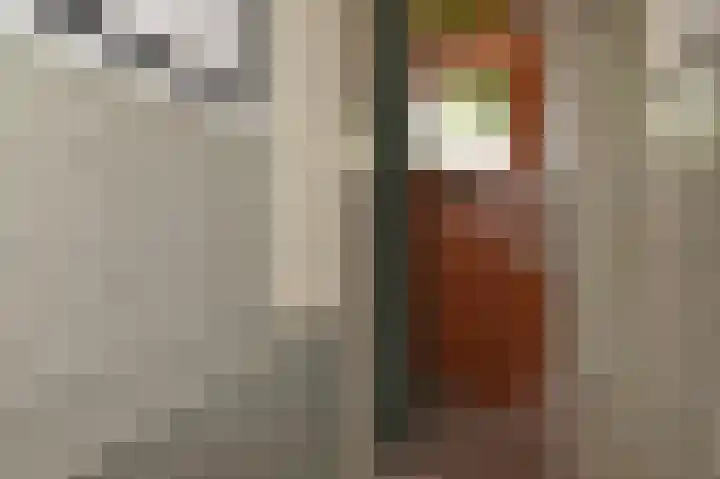 Dirk Hoogenraadstraat 20 B Den Haag thumbnail 45
