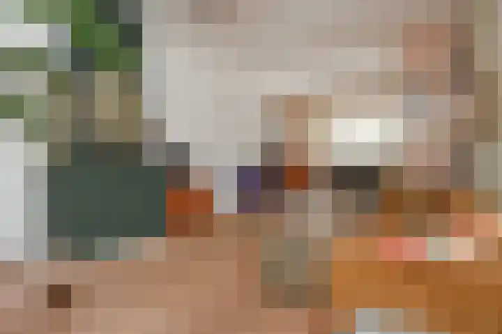 Dirk Hoogenraadstraat 20 B Den Haag thumbnail 5