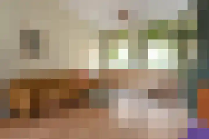 Dirk Hoogenraadstraat 20 B Den Haag thumbnail 7